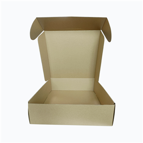 Carton box